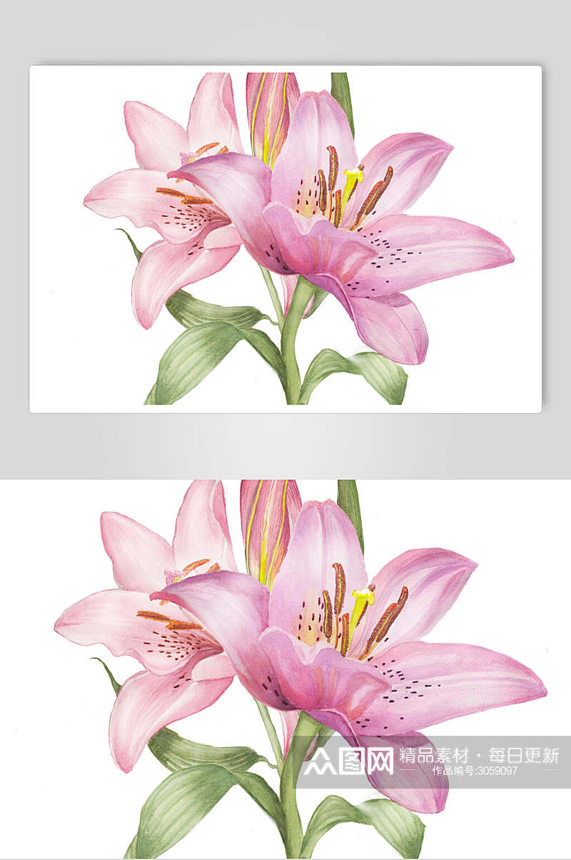 粉色鲜花花卉设计素材素材