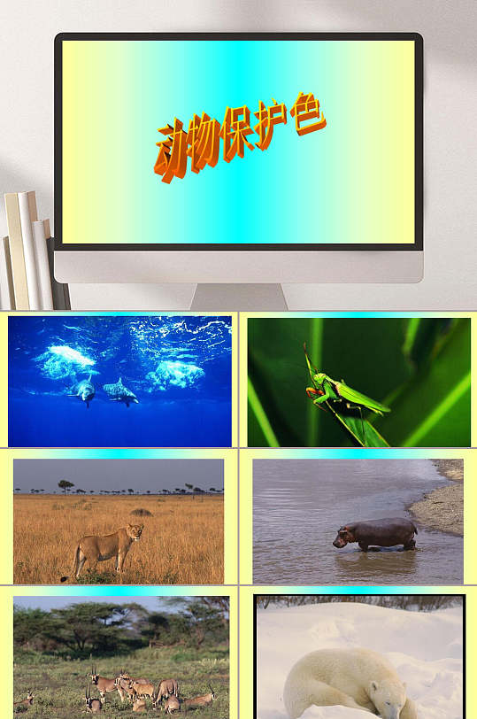 幼儿园科学动物保护色ppt