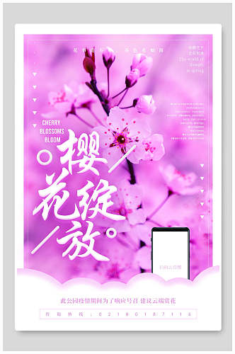 紫色樱花节绽放海报