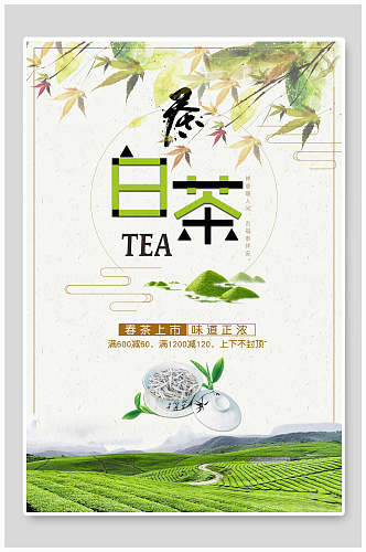 清新白茶茶叶海报
