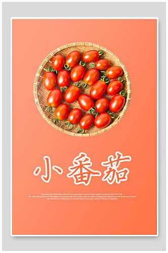 简洁小番茄圣女果海报