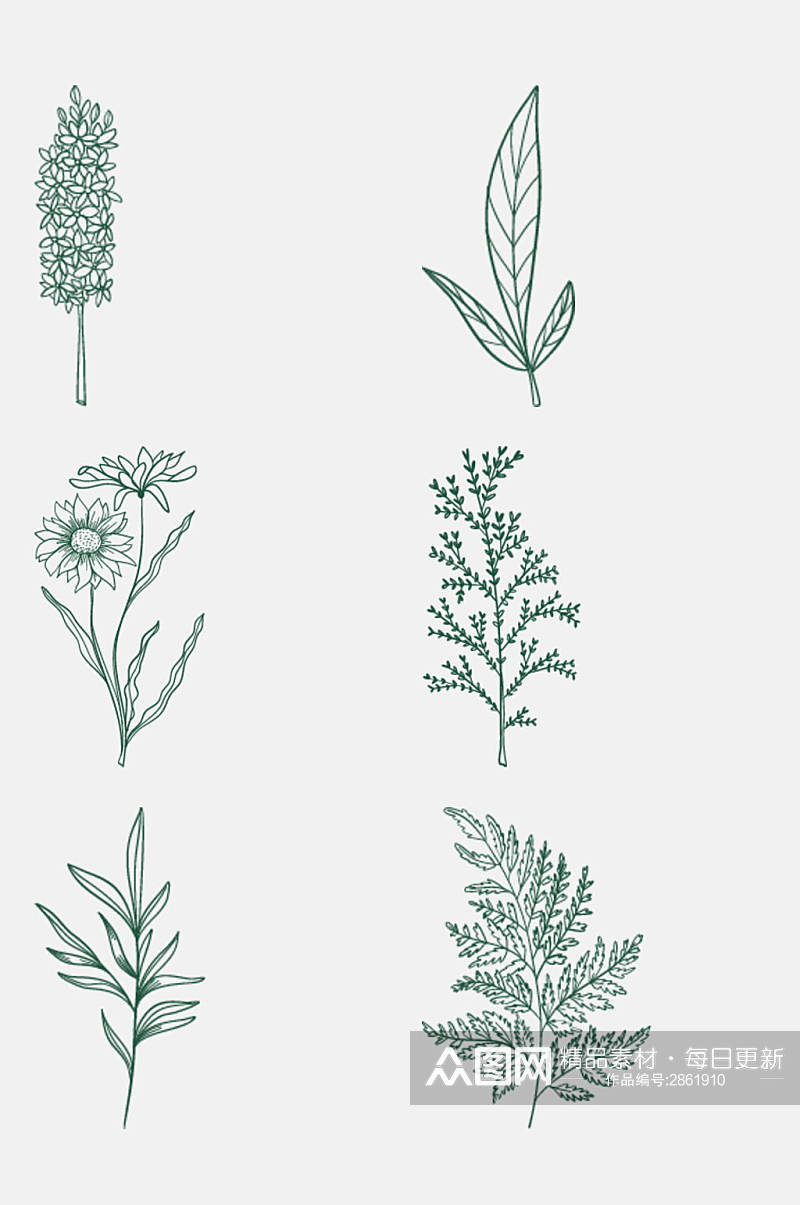 清新手绘植物花卉树叶免抠设计元素素材