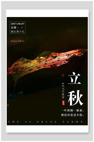 黑色立秋中国节气海报