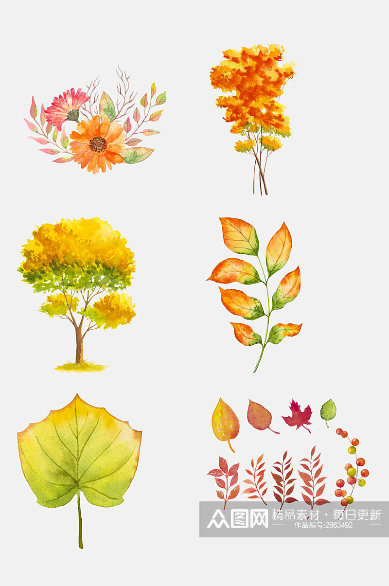 秋季秋天水彩花卉植物免抠元素素材