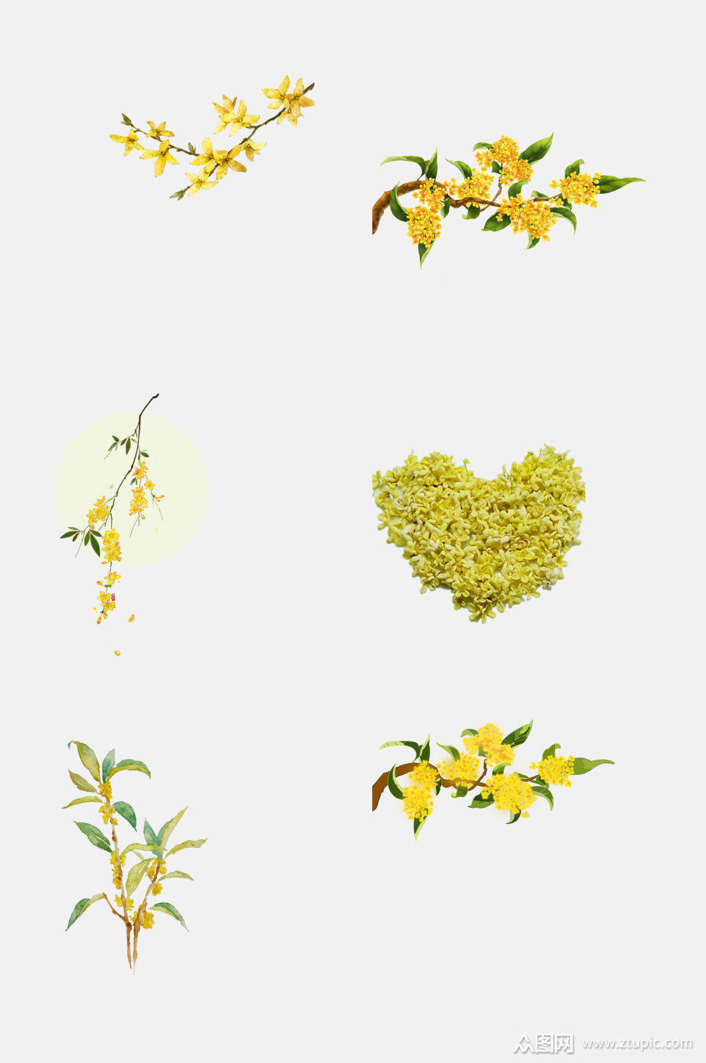 简洁创意桂花免抠元素素材