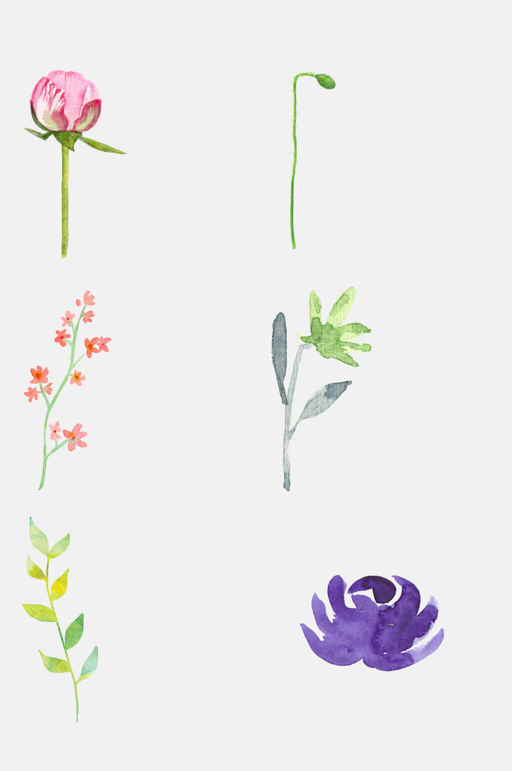 清新简洁植物花朵免抠元素素材