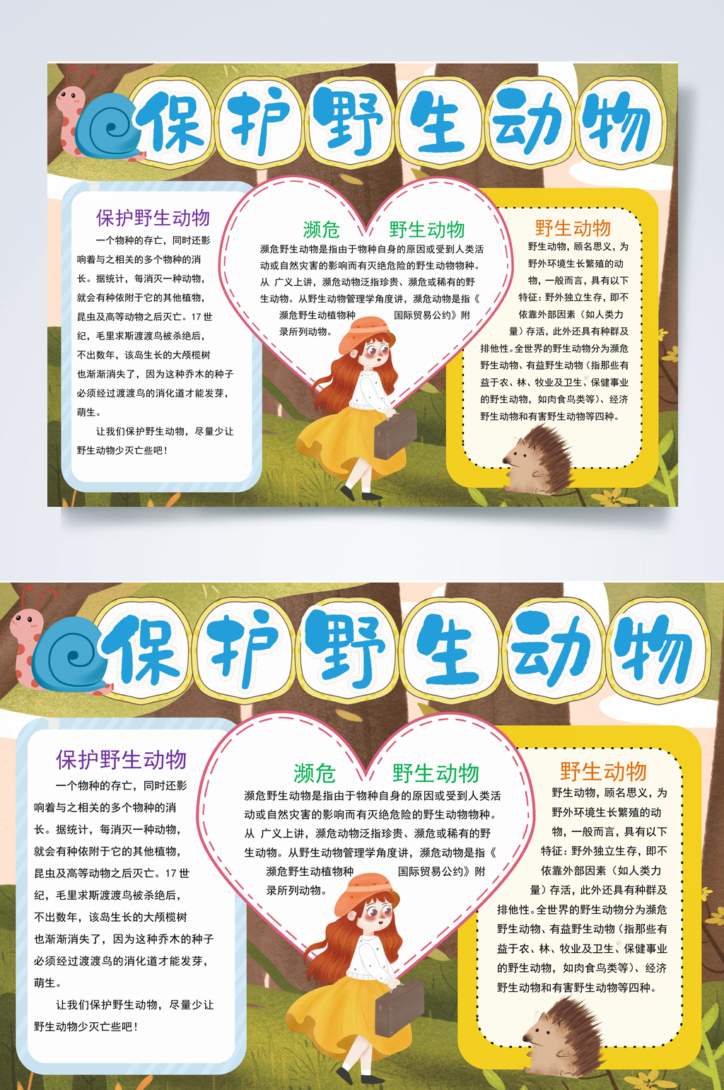 简约保护野生动物拒绝野味小报WORD素材
