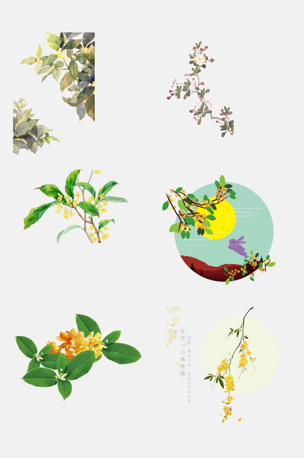 桂花免抠设计元素