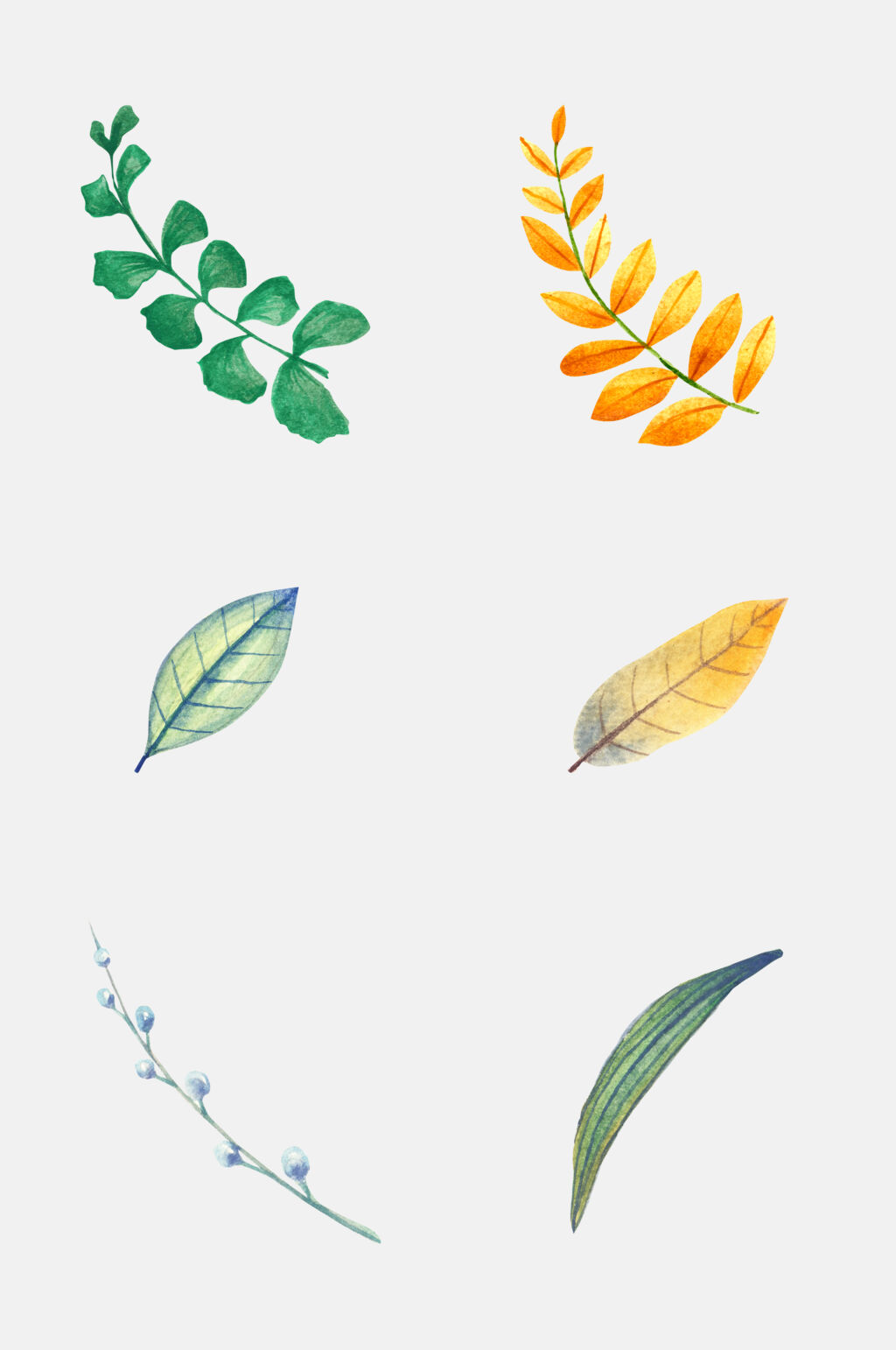 简约动植物免抠素材素材