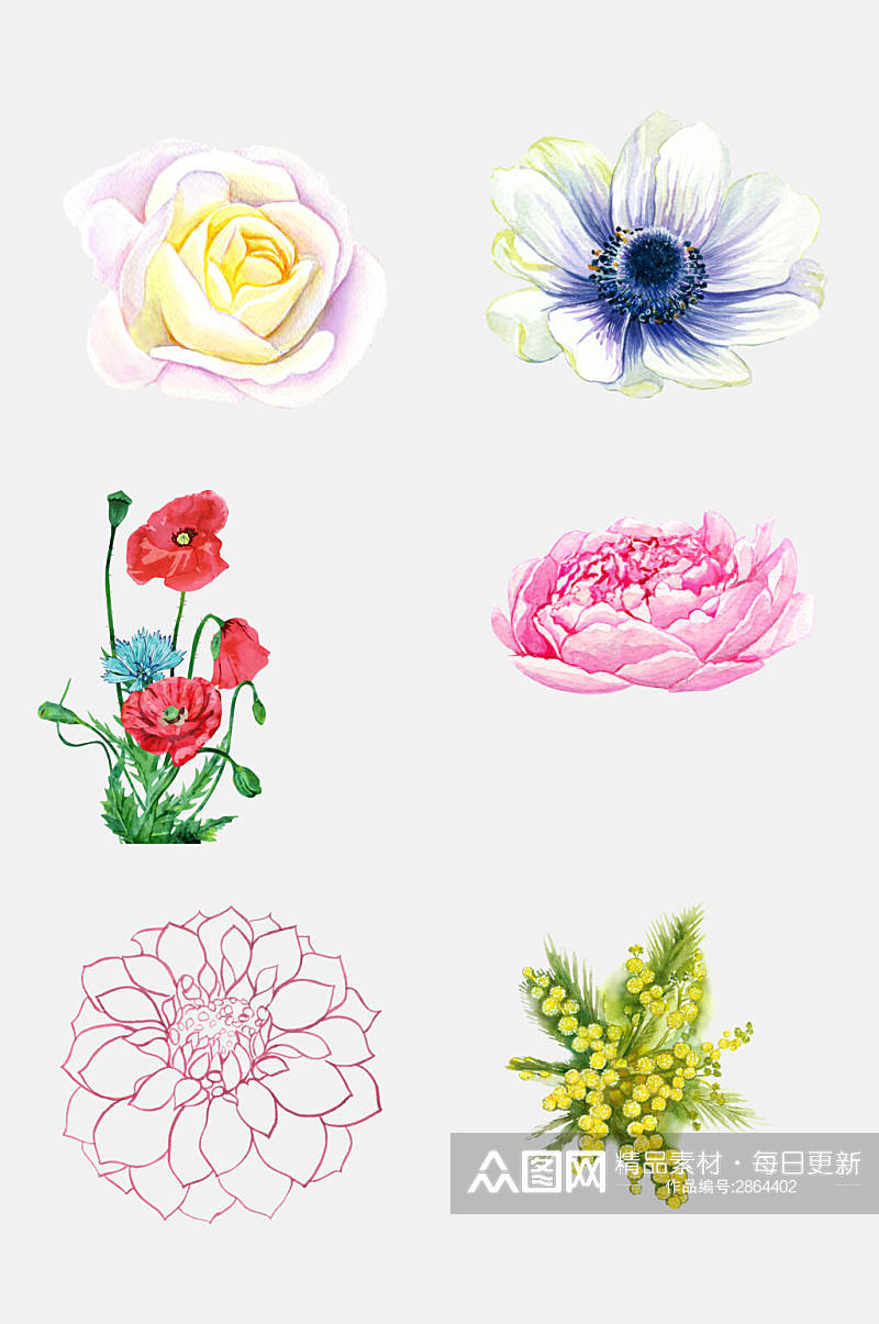 手绘鲜花花朵免抠设计元素素材