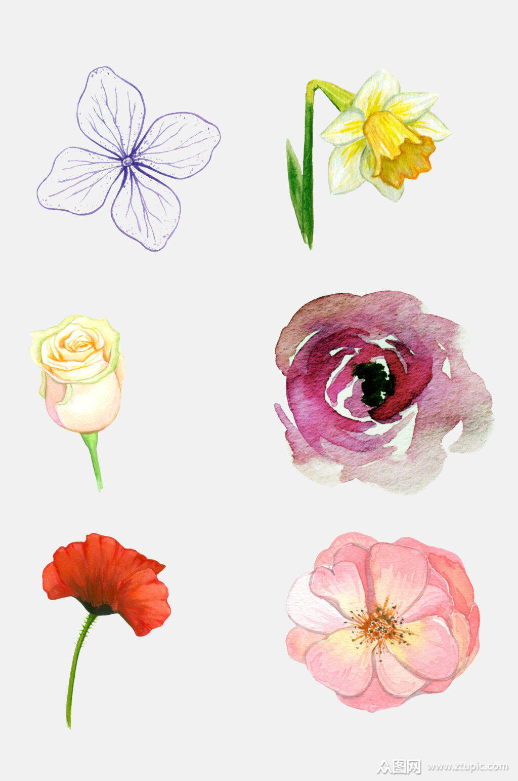 水彩鲜花手绘花朵免抠元素素材