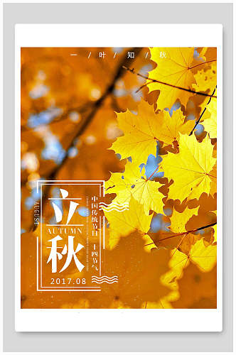 金黄色枫叶立秋中国节气宣传海报
