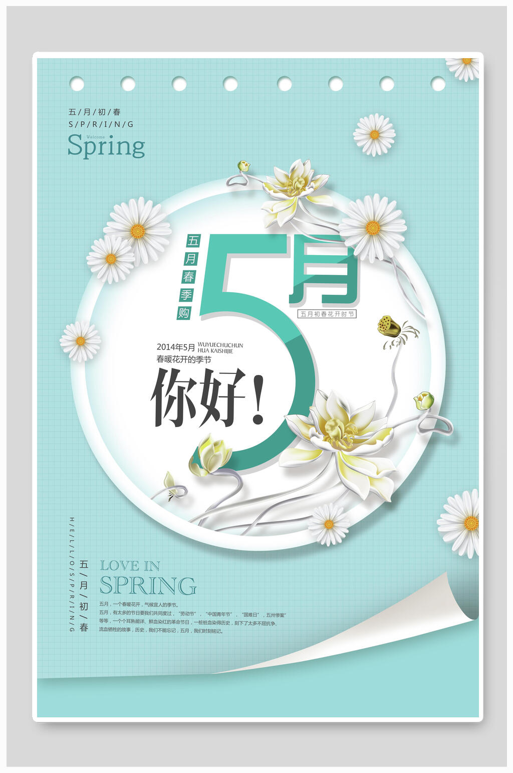 清新淡雅雏菊你好五月夏季促销海报素材