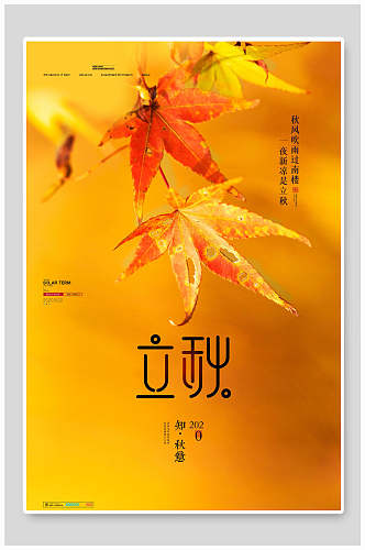 金黄色创意枫叶立秋传统节气海报