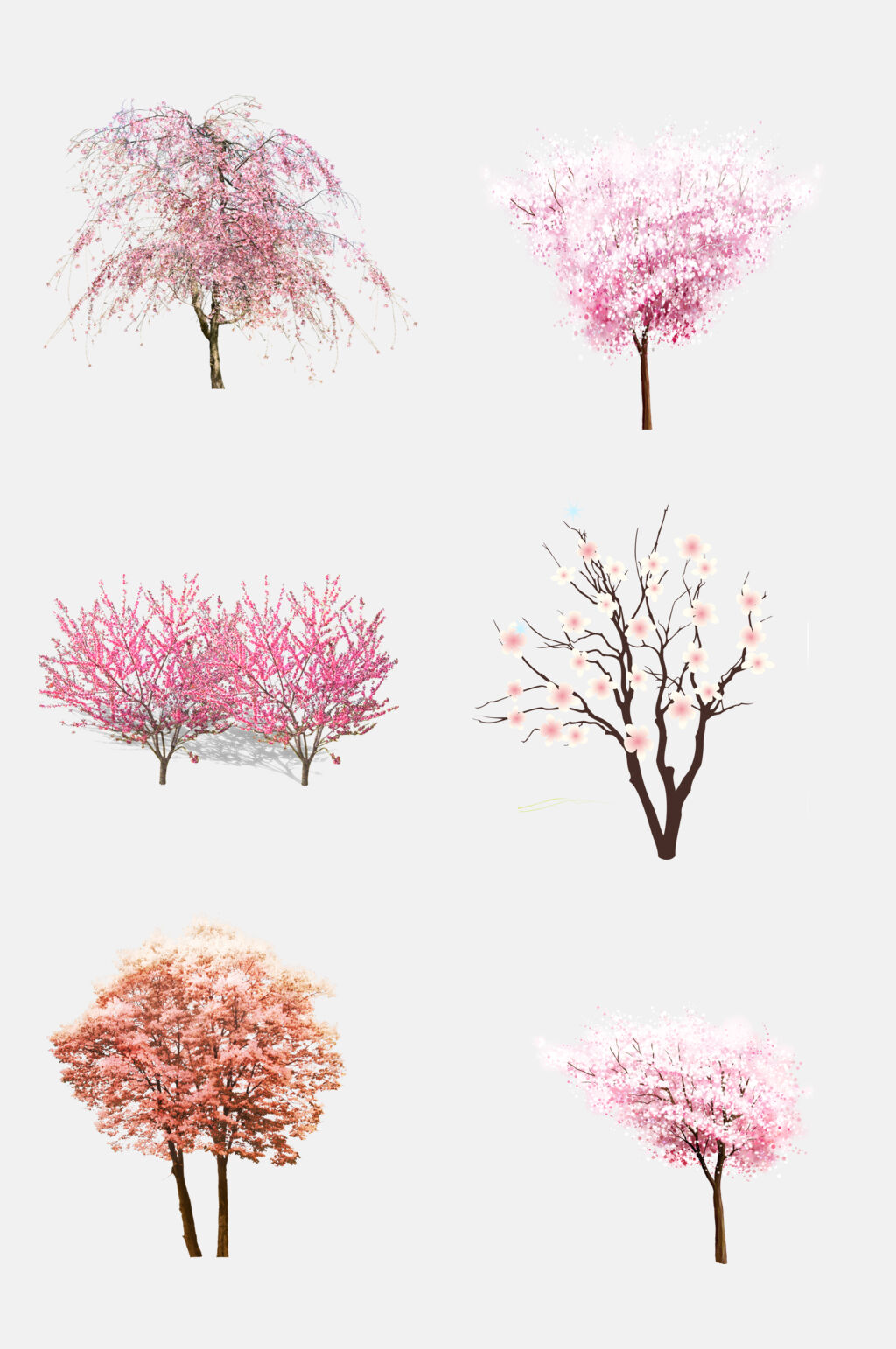 精致樱花桃花树免抠素材素材