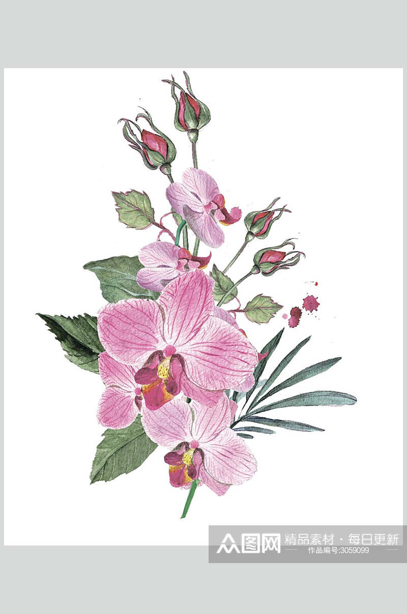 水彩粉色鲜花花卉素材素材