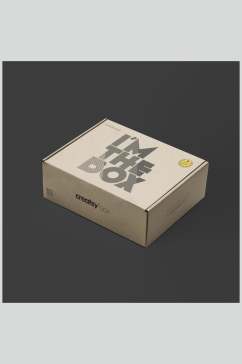 黑黄高清留白英文纸箱纸盒包装样机