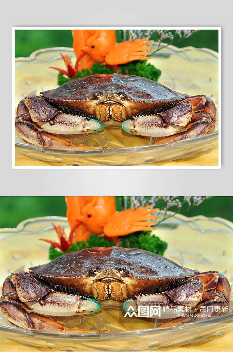 精品大闸蟹海鲜生鲜餐饮食物图片素材