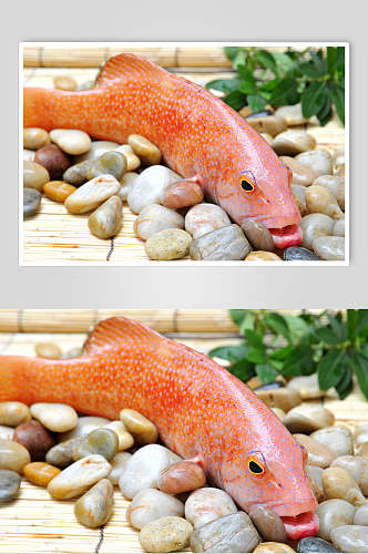 招牌红鱼海鲜生鲜餐饮食物图片