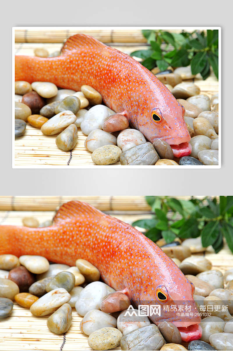 招牌红鱼海鲜生鲜餐饮食物图片素材