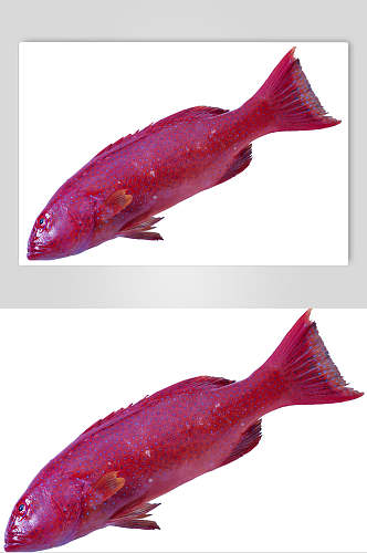 精选红鱼海鲜美食餐饮高清图片