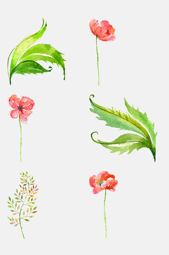 清新淡雅水彩手绘花卉植物免抠素材