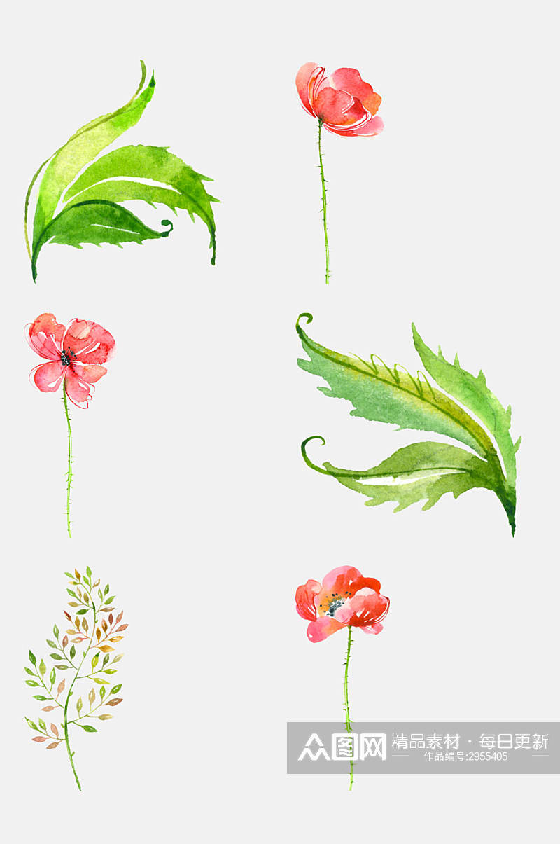 清新淡雅水彩手绘花卉植物免抠素材素材