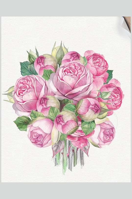 花束玫瑰花手绘素材