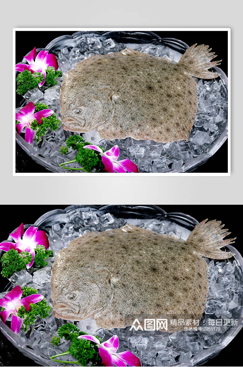 冰镇多宝鱼海鲜生鲜餐饮高清图片素材