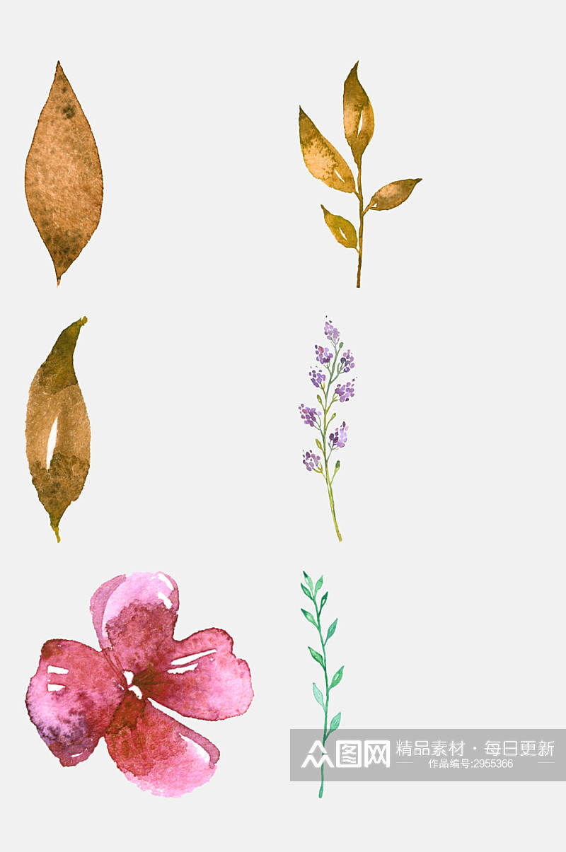 清新水彩手绘花卉植物花朵免抠素材素材