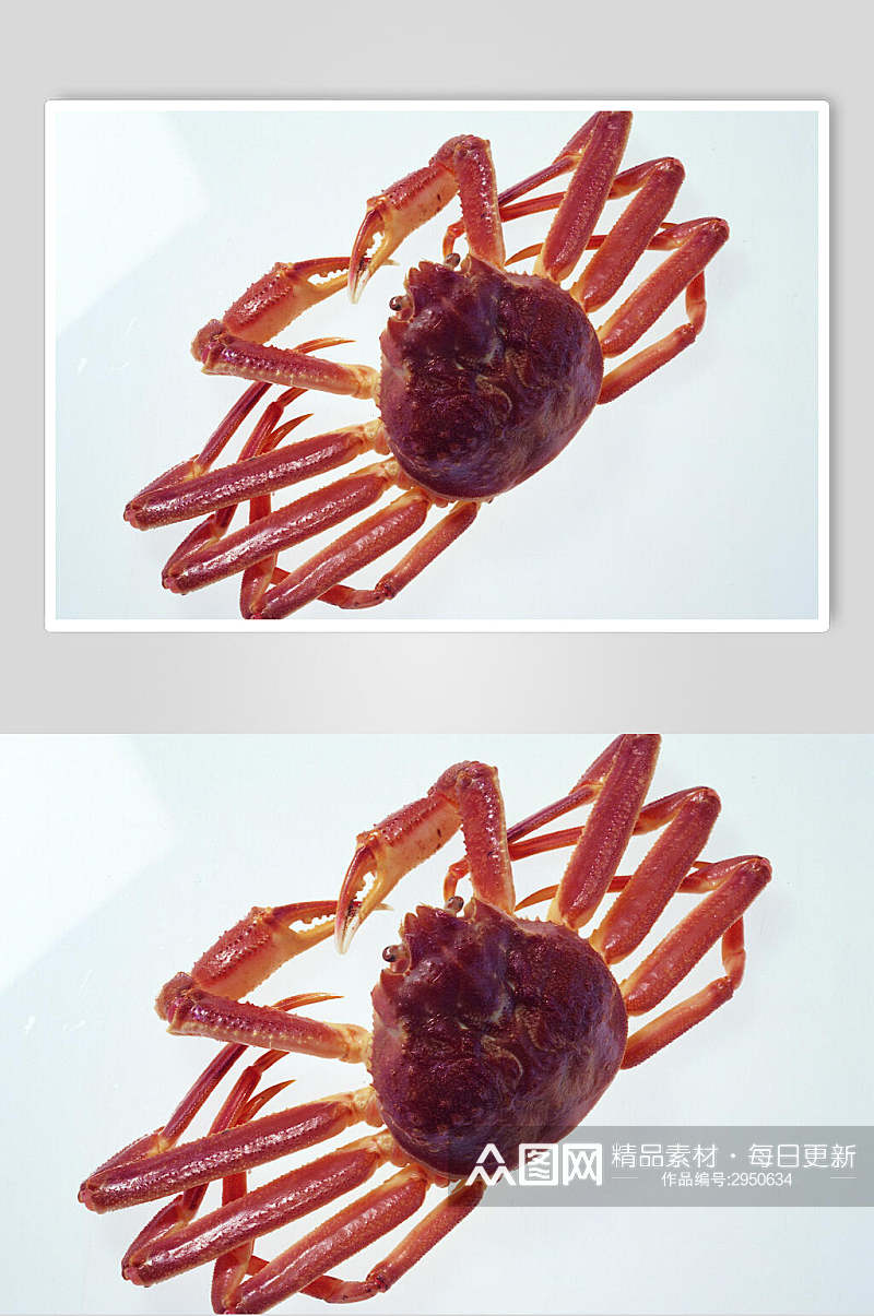 美味螃蟹海鲜美食食品摄影图片素材