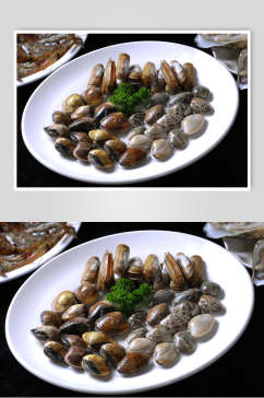 美味花甲海鲜生鲜餐饮食物图片