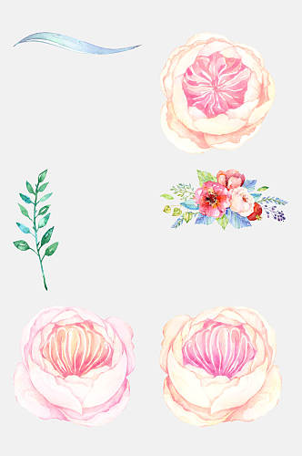 水彩手绘粉色花朵花卉植物免抠设计素材