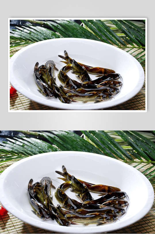 黄辣丁海鲜生鲜食品高清图片