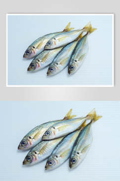 创意海鲜美食食品高清图片