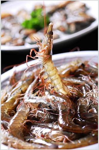 大虾海鲜生鲜图食品摄影片