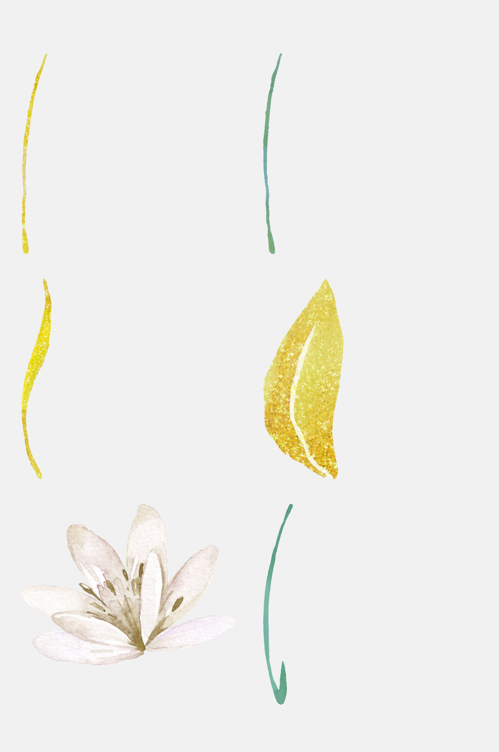 简约大气水彩手绘花卉植物免抠素材素材