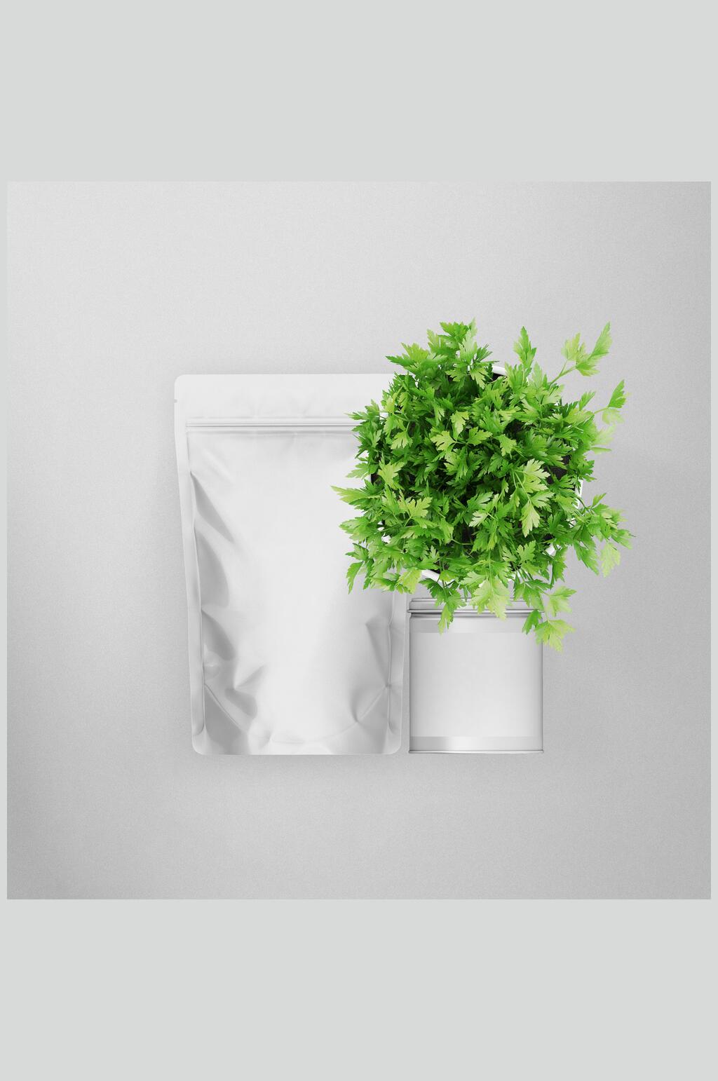 植物充气膨化袋食品零食包装袋样机素材