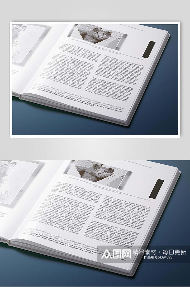时尚打开质感书籍杂志VI设计展示样机素材