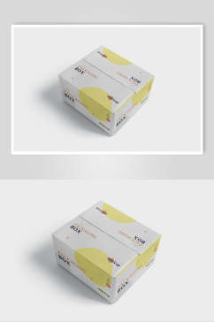 黄白英文高清留白纸箱纸盒包装样机