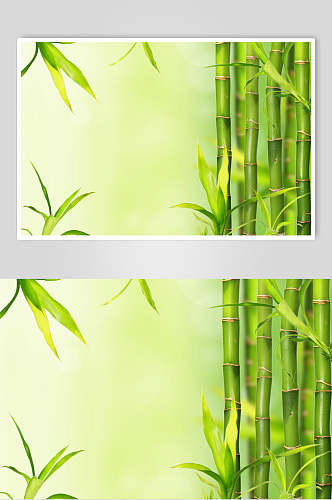 创意渐变绿色竹林风景图片
