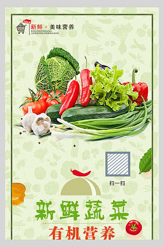 营养有机新鲜蔬菜宣传海报