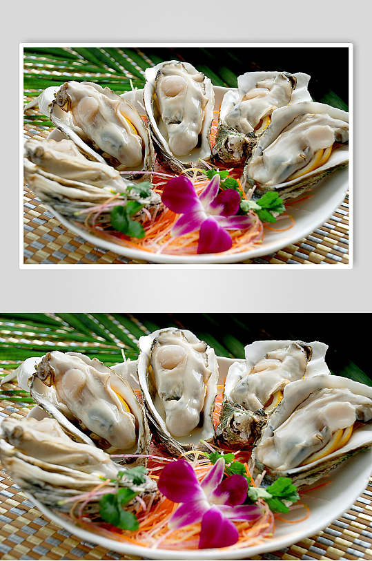 生蚝海鲜生鲜图片-众图网