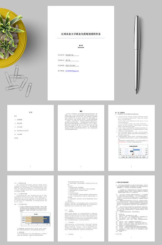 江西农业大学职业生涯规划课程作业word
