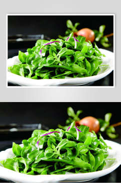 青菜凉菜素材冷拼食品摄影图片
