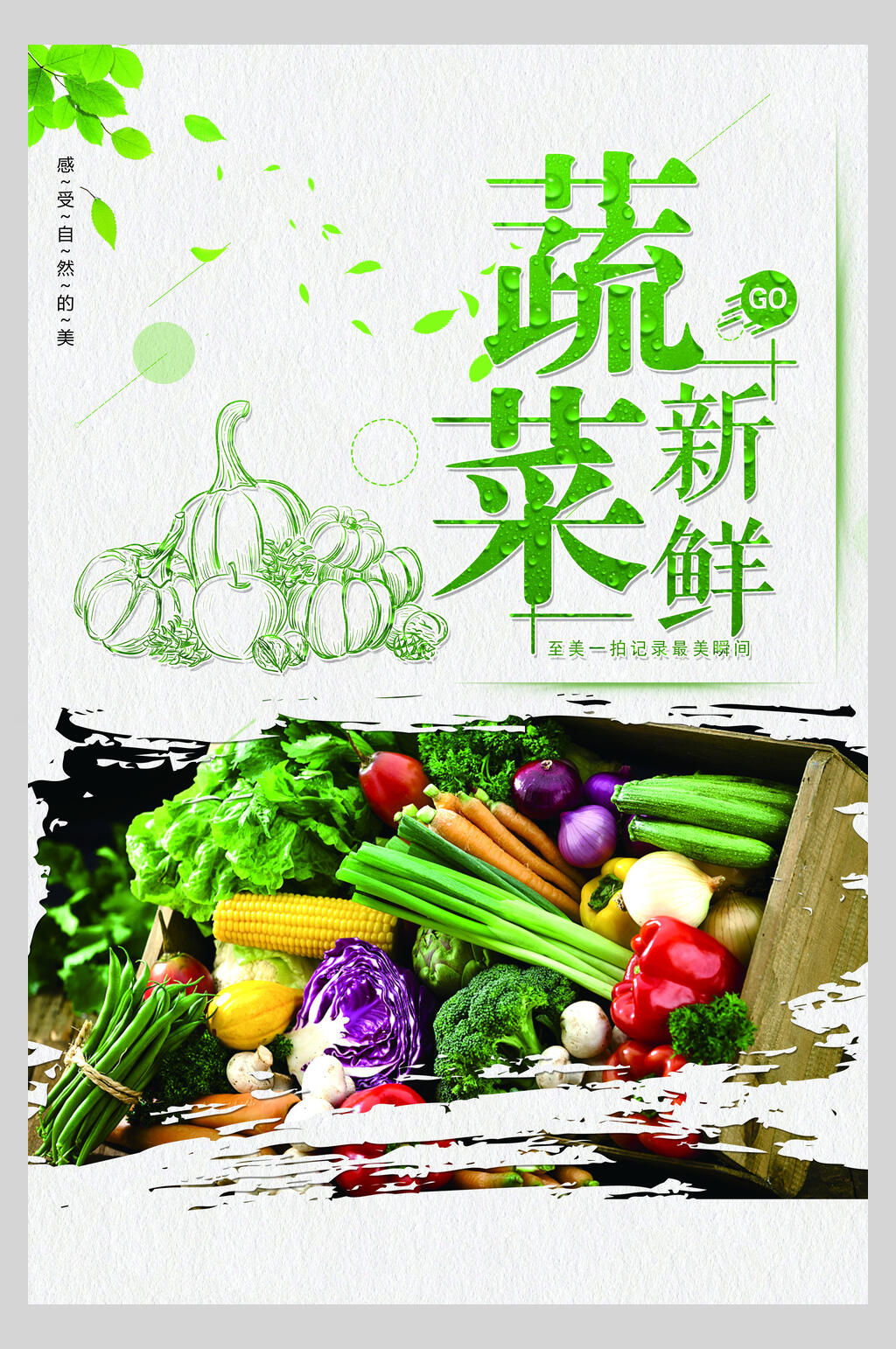 手绘新鲜蔬菜宣传海报素材