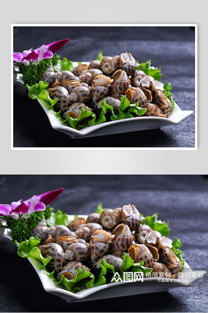 花螺海鲜生鲜餐饮食品图片素材