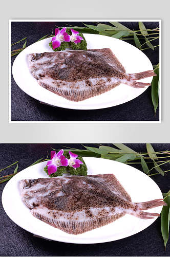 精品多宝鱼海鲜生鲜食品摄影图片