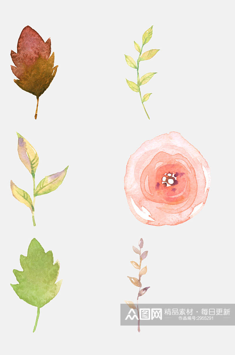 水彩水彩手绘花卉植物免抠素材素材