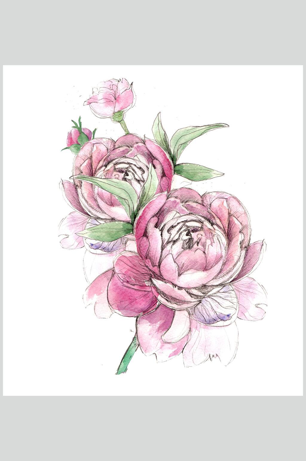 清新玫瑰花手绘素材素材